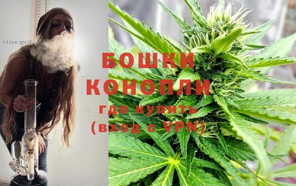 PSILOCYBIN Нефтегорск