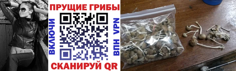 МЕГА зеркало  мориарти как зайти  Псилоцибиновые грибы прущие грибы  Нарьян-Мар 